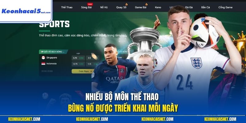 Nhiều bộ môn thể thao bùng nổ được triển khai mỗi ngày