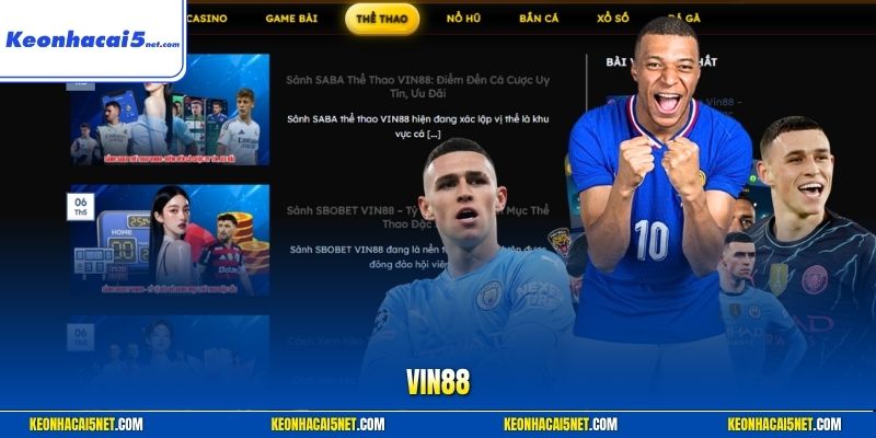 VIN88